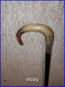 Antique Walking Stick/Cane With Bovine Horn Crook Handle & H/m Silver Collar- 86cm