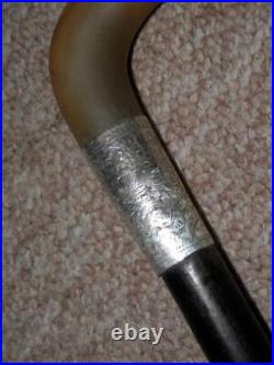 Antique Walking Stick/Cane With Bovine Horn Crook Handle & H/m Silver Collar- 86cm