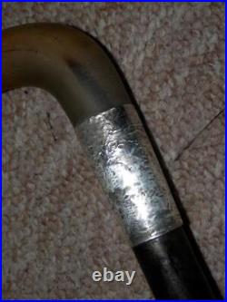 Antique Walking Stick/Cane With Bovine Horn Crook Handle & H/m Silver Collar- 86cm