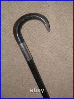 Antique Walking Stick/Cane With Bovine Horn Crook Handle & Silver Collar 85cm