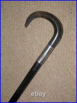 Antique Walking Stick/Cane With Bovine Horn Crook Handle & Silver Collar 85cm