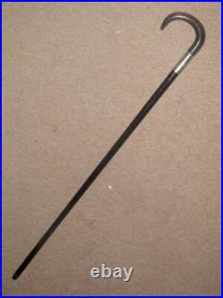 Antique Walking Stick/Cane With Bovine Horn Crook Handle & Silver Collar 85cm