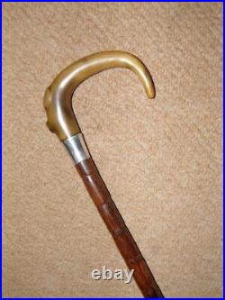 Antique Walking Stick/Cane With Bovine Horn Crook & Pres. Silver Collar 90.5cm