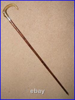 Antique Walking Stick/Cane With Bovine Horn Crook & Pres. Silver Collar 90.5cm