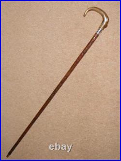 Antique Walking Stick/Cane With Bovine Horn Crook & Pres. Silver Collar 90.5cm