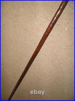 Antique Walking Stick/Cane With Bovine Horn Crook & Pres. Silver Collar 90.5cm