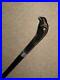 Antique-Walking-Stick-Cane-With-Bovine-Horn-Parrot-Handle-Silver-Collar-91cm-01-oa