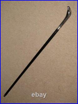 Antique Walking Stick/Cane With Bovine Horn Parrot Handle & Silver Collar 91cm