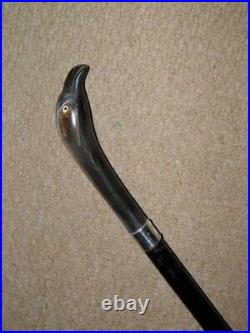 Antique Walking Stick/Cane With Bovine Horn Parrot Handle & Silver Collar 91cm