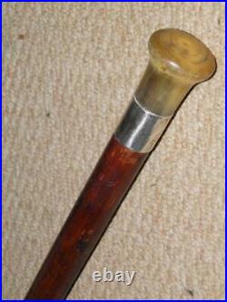 Antique Walking Stick/Cane With Hallmarked Silver Collar 1918 & Bovine Horn Top