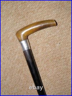 Antique Walking Stick/Cane With Hallmarked Silver Collar & Bovine Horn Fritz -87cm