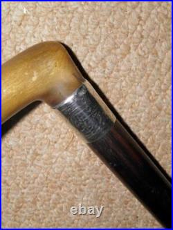 Antique Walking Stick/Cane With Hallmarked Silver Collar & Bovine Horn Fritz -87cm
