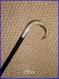 Antique Walking Stick/Cane with HM Silver Collar 1923 & Bovine Horn Top