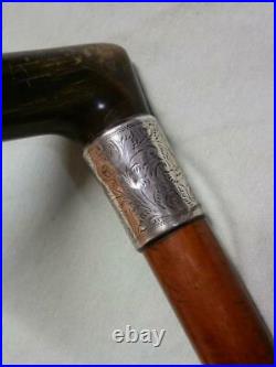 Antique Walking Stick H/m Silver Collar' Chester 1896' & Bovine Horn Handle
