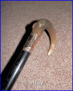 Antique Walking Stick With Bovine Horn Crook Handle & Gold Plate Collar