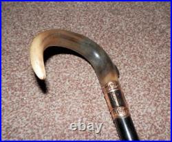 Antique Walking Stick With Bovine Horn Crook Handle & Gold Plate Collar