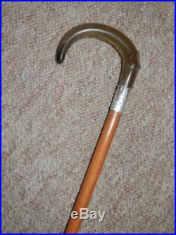Antique Walking Stick With Bovine Horn Crook Handle & H/m Silver Collar 1917
