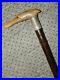 Antique-Walking-Stick-With-Bovine-Horn-Greyhound-Head-Handle-H-M-Silver-1928-01-uer