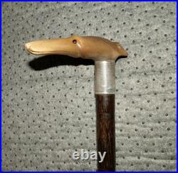 Antique Walking Stick With Bovine Horn Greyhound Head Handle & H/M Silver'1928