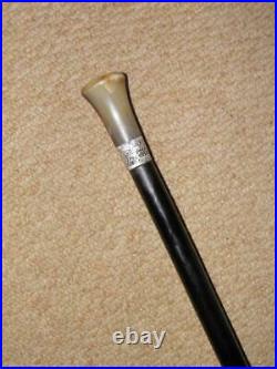Antique Walking Stick With Bovine Horn Pommel & H/m 1926 Silver Collar 86.5cm