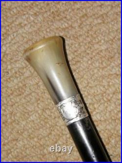 Antique Walking Stick With Bovine Horn Pommel & H/m 1926 Silver Collar 86.5cm