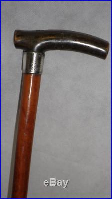 Antique hallmarked silver malacca walking/dress cane with bovine horn handle