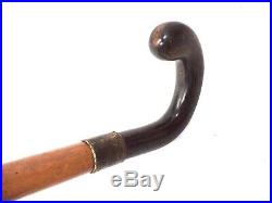 Antique tailored walking stick with horn handle / Silver ring / Belgium