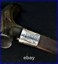 Antique walking stick with horn handle and silver collar 1908 Birmingham