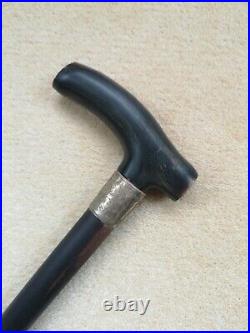 Antique walking stick with horn handle and silver collar 1908 Birmingham