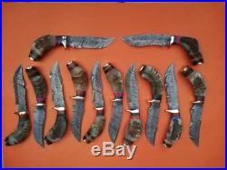 Awesome Custom Handmade Lot Of 12 Pieces Hunting Knives With Ram Horn Handle