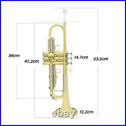 Bb B Flat Trumpet Brass Tube Golden With Silver Horn With Box Gloves Mouthpiece