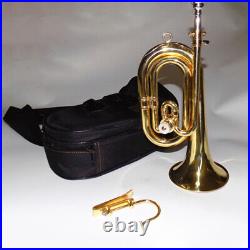 Bb Horn Yellow Brass with Bag Lacquer Silver Nickel Plated Professional Trumpet