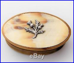 Beautiful Georgian Pocket Oval Scottish Horn Snuff Box With Solid Silver Thistle