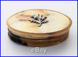 Beautiful Georgian Pocket Oval Scottish Horn Snuff Box With Solid Silver Thistle