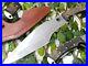 Best-Handmade-Rare-D2-Tool-Steel-Hunting-Fixed-Blade-Knife-With-Ram-Horn-Handle-01-id