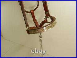 Broken Horn Show Halter, Leather silver Green Rhinestones With Lead