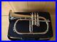 CHRISTMAS-GIFT-New-Silver-Bb-Flugel-Horn-With-Free-Hard-Case-M-P-FAST-DELIVERY-01-kuiq