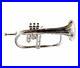 Chiresmasday-new-Bb-Flat-Silver-Nickel-Flugel-Horn-With-Free-Hard-Case-01-ui