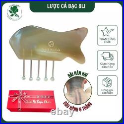 Comb-Shaped Massage Tool with Silver Massage Heads Horn Body, Vietnam Handcraft