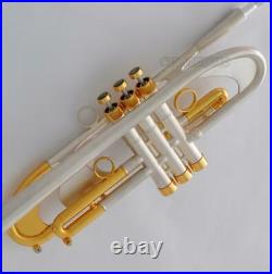 Concert Heavy Trumpet horn Brushed Silver Germany Brass With Case