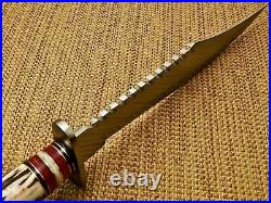 Custom Hand Made D2 Steel Hunting Bowie knife with Amazing Stag Horn Handle