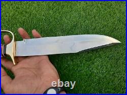 Custom Handmade D2 Steel Hunting Bowie knife with Amazing Crown Stag Horn Handle