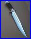 Custom-Handmade-D2-Tool-Steel-Hunting-Bowie-Knife-With-Stag-Horn-Handle-Sheath-01-xahw