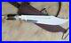 Custom-Handmade-D2-tool-Steel-Hunting-Bowie-Knife-With-Stag-Horn-Handle-01-ap
