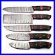 Custom-Handmade-Damascus-Steel-5-Pc-s-Knife-Chef-Set-with-Wood-and-Horn-Handle-01-ktc