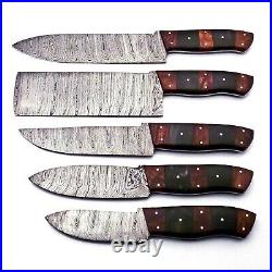 Custom Handmade Damascus Steel 5 Pc's Knife Chef Set with Wood and Horn Handle