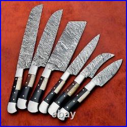 Custom Handmade Damascus Steel 6 Pc's Knife Chef Set with Bone/ Horn/Wood Handle