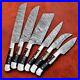 Custom-Handmade-Damascus-Steel-6-Pc-s-Knife-Chef-Set-with-Bone-Horn-Wood-Handle-01-sl