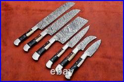 Custom Handmade Damascus Steel 6 Pc's Knife Chef Set with Bone/ Horn/Wood Handle