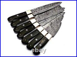 Custom Handmade Damascus Steel 7 Pc's Knife Chef Set with Buffalo Horn Handle